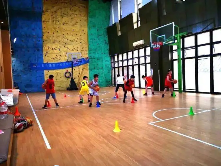 青少年篮球爱好者综合训练方案_1